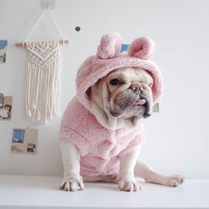Pet Clothes Cartoon Hoodie