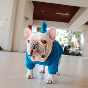 Pet Clothes Blue Spike Hoodie