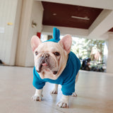 Pet Clothes Blue Spike Hoodie