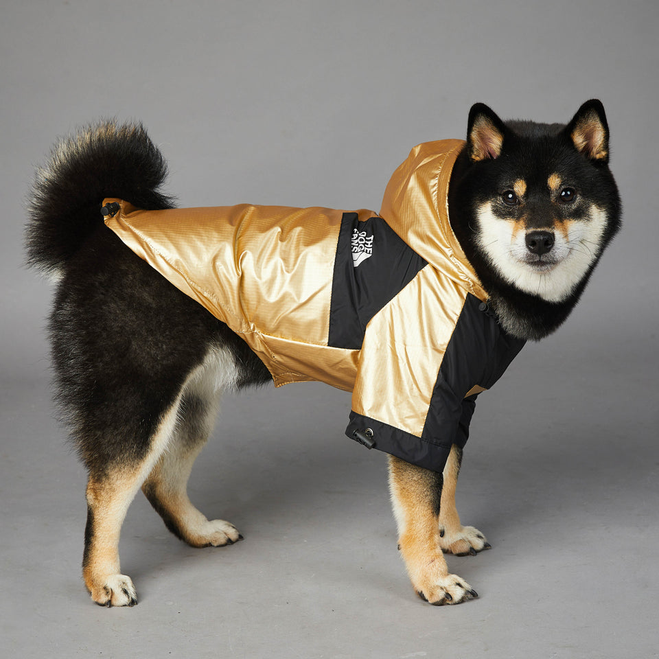 Dog Clothes Raincoat The Dog Fans