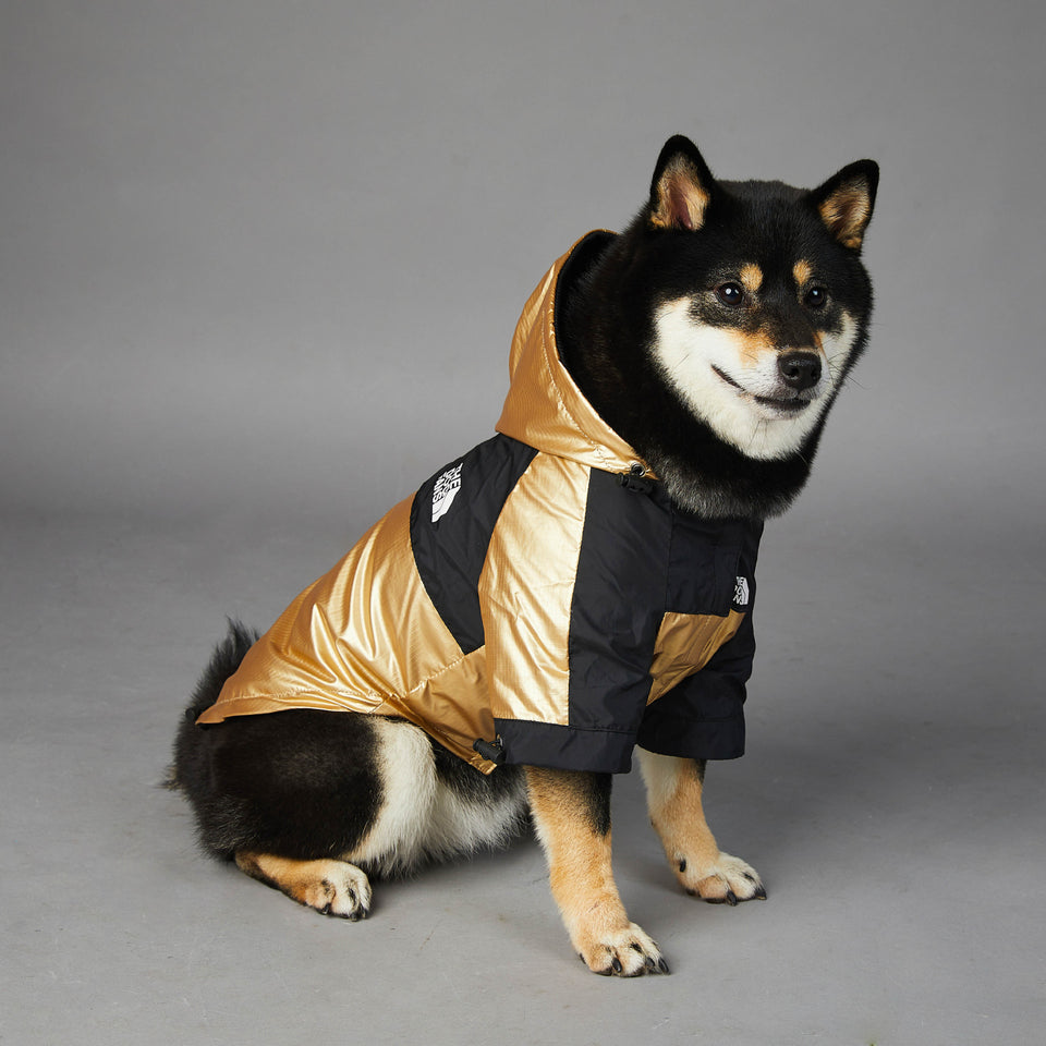 Dog Clothes Raincoat The Dog Fans