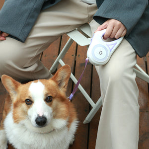 Dog Leash Retractable Collar Automatic Pet Product