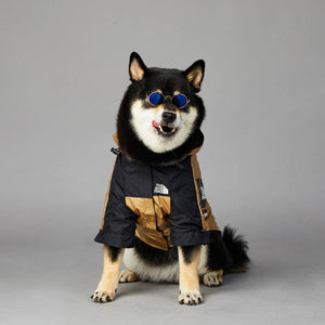 Dog Clothes Raincoat The Dog Fans