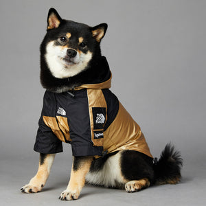 Dog Clothes Raincoat The Dog Fans